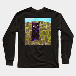 Pretty Face Kitty Long Sleeve T-Shirt